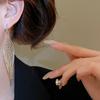 Exaggerated Metal Hollow Earrings Gold Silver Ear Hook Exquisite Long Tassel Dangle Earrings  Gift