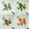 Greenery Artificial Leaf Plant With Silk Print Cloth Home Office Wedding Decor