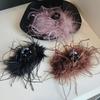 Korean Style High-End Ostrich Feather Hair Claw Clip for Women