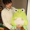 New Two-tone Cashmere Little Frog Plush Toy Smiling Frog Doll Children's Companion Doll 20cm 0.15kg