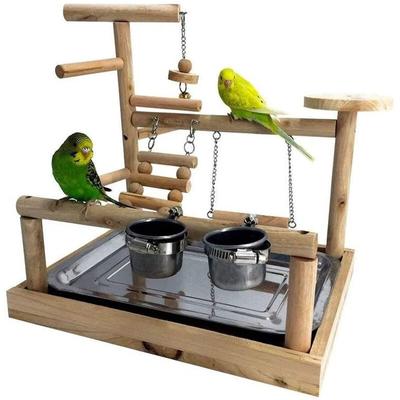 Pet Parrot Playing Paper Cup Bird Toy Tray Swing Ladder Bridge Wooden Cockatoo Playground Bird Perching Parrot