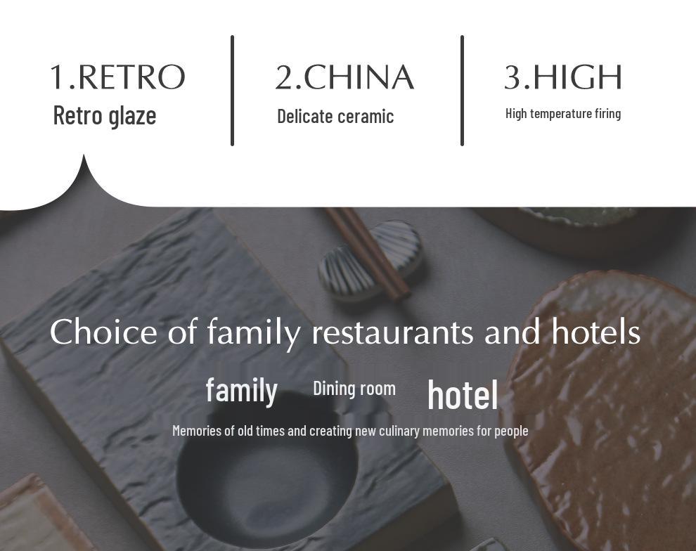 Japanese Minimalist Ceramic Plate for Sushi and Dumplings - Exquisite Underglaze Design