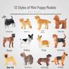 Simulation Famous Dog Model Set: Schnauzer, Corgi, Bulldog Ornaments