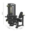 BODY STRONG FITNESS Dual-Function Commercial Seated Leg Extension/Curl Machine