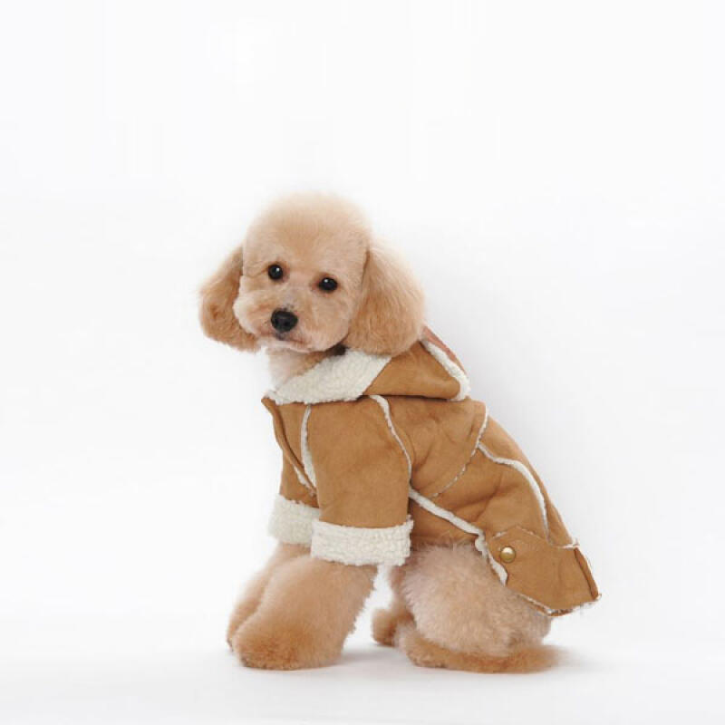 

Puppy Mustang Jacket Winter Clothes Coat Outerwear beige