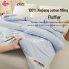 Grace Xinjiang Cotton Spring/Autumn Duvet