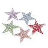 5pcs Silver Rhinestone Star Iron On Patches Iron-On Pentagram Shape Patches  For Clothes Decoration