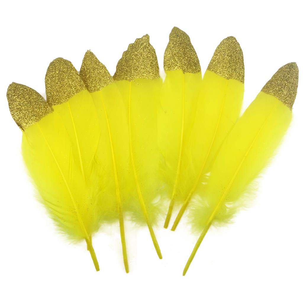 FeatherYellow Feathers for Crafts, 31 Styles Natural Pheasant, Rooster, Duck Feathers Bulk for Costume DIY, Fly Tying,Party Decoration