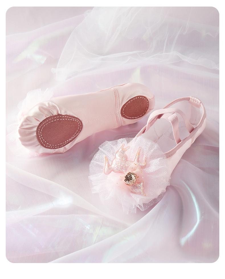 Soft Sole Cat Paw Ballet Dance Shoes for Women and Girls - Spring Style, Multi-color