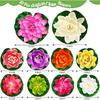 Artificial Lotus Flowers Water Lilies for Pond Pool, 10 Pcs Realistic Floating Foam Lotus Flowers with Lily Pads for Ponds, 4" and 6" Large Lifelike