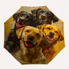 Dogs, Artwork Theme 8 Bone Hand Automatic Folding Umbrella, Compact and Portable Design, A Perfect Gift for Birthday, Christmas or Business