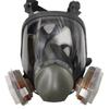 Dust Fog Proof Full Face Respirator  Industrial Painting  Spraying Filter Formaldehyde Respirator Safety Work Protection