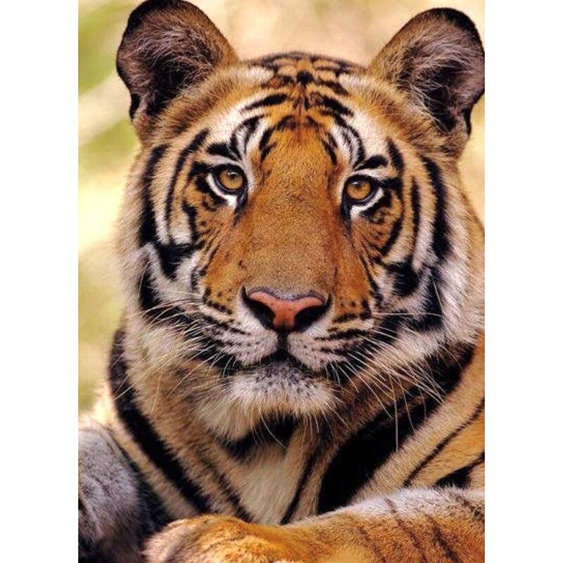 New 5D DIY Diamond Painting Tiger Diamond Embroidery Animal Scenery Cross Stitch Full Round Drill Home Decor Manual Gift
