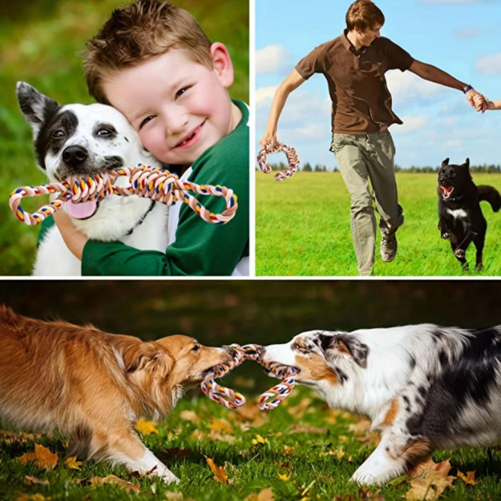Wear Resistant Puppy Rope Knot Toy Bite Resistant Pet Molar Toy Dog Chew Toy  Relieve Boredom