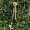 Floral Garlands For Decor Sunflower Fake Garland Rustic Realistic Flower Ribbon Decoration For Indoor Outdoor Wall Table Fence