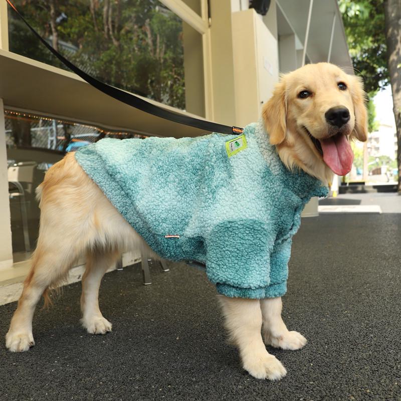 Autumn/Winter Clothing for Large Dogs: Labrador, Samoyed, Golden Retriever, and Border Collie