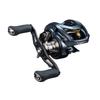 Daiwa Baitcasting Rolle STEEZ AII TW 1000H Modell 2022 (DAIWA)