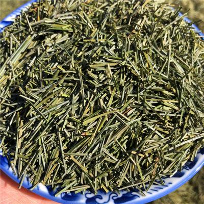 Organiczna Herbata z Suszonych Igieł Sosny Premium Igły Sosny Czerwonej Sypana Herbata Ziołowa