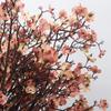50cm Zen Simulation Cherry Blossom Branch Home Decoration Flower Arrangement