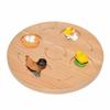 Handson-Earth Cycle Learning Toy Set Interactive Life Early