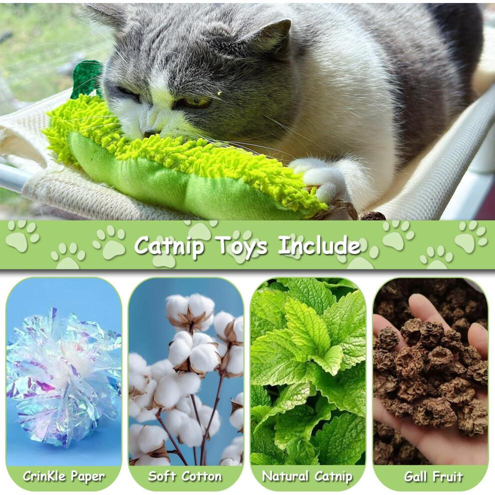 2 PCS Catnip Toys for Indoor Cats, BiteResistant Plush Worms with Crinkle Sound and Dental Health