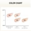 VDL Cover Stain Perfecting Foundation EX 30ml 3colors