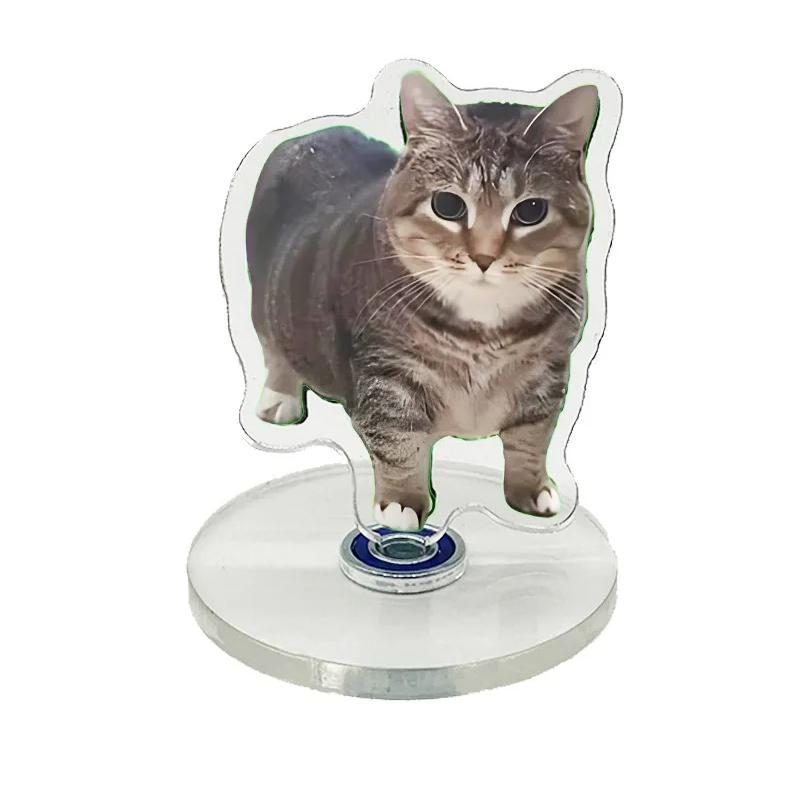 10 шт. Акриловая вращающаяся подставка Oiiaioo Meme Cat для украшения стола, забавный вращающийся дисплей на тему поп-культуры, сувенир, подарок 10PCS