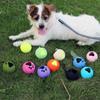 With Hook Dog Toy Ball Protective Cover Cartoon Pet Ball Holder  Walking