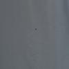 Patagonia Outdoor 28515FA12 Stoos Hoodie Batting Jacket Men's Used