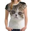 Tricouri de vară pentru femei, imprimeu vintage cu grafică de câine 3D, tricouri de sex feminin, topuri 2022 Harajuku, guler O, tricou casual supradimensionat, haine