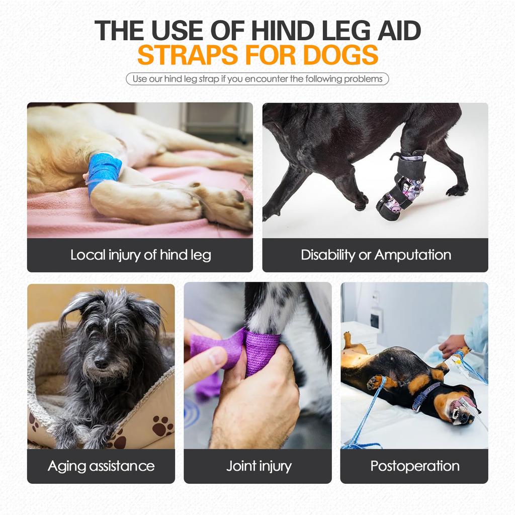 Hundeschlinge zur Unterstützung der Hinterläufe, Hundeschlinge Hebegeschirr zur Rehabilitation der Hinterläufe, Leistungsstarke Unterstützung Verstellbarer Riemen
