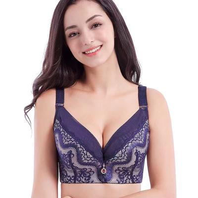 Full Coverage Lace Bras Push Up Plus Size Bra with Pad Underwire Lace Beauty Back Bra