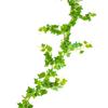 Rattan Pothos Artificial Leaf Vine for Indoor AC and Water Pipe Decoration