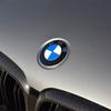 Classic ABS 74mm 82mm 2 Fixed Rear Boot Badges Front Hood Emblem Logo For BMW F15 F10 E64 E63 E60 E52 E83 E46 E92 E90 E93 F20 X3