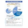 Let's do it! Blue Return 2027 Tax Saving Filing Standard Pack Windows Version
