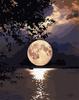 Creative Paint by Number Kit with Frame, Paints, Brushes, Moon