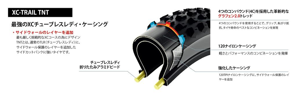 Vittoria Balzo TNT G2.029x2.1 Black/Gray