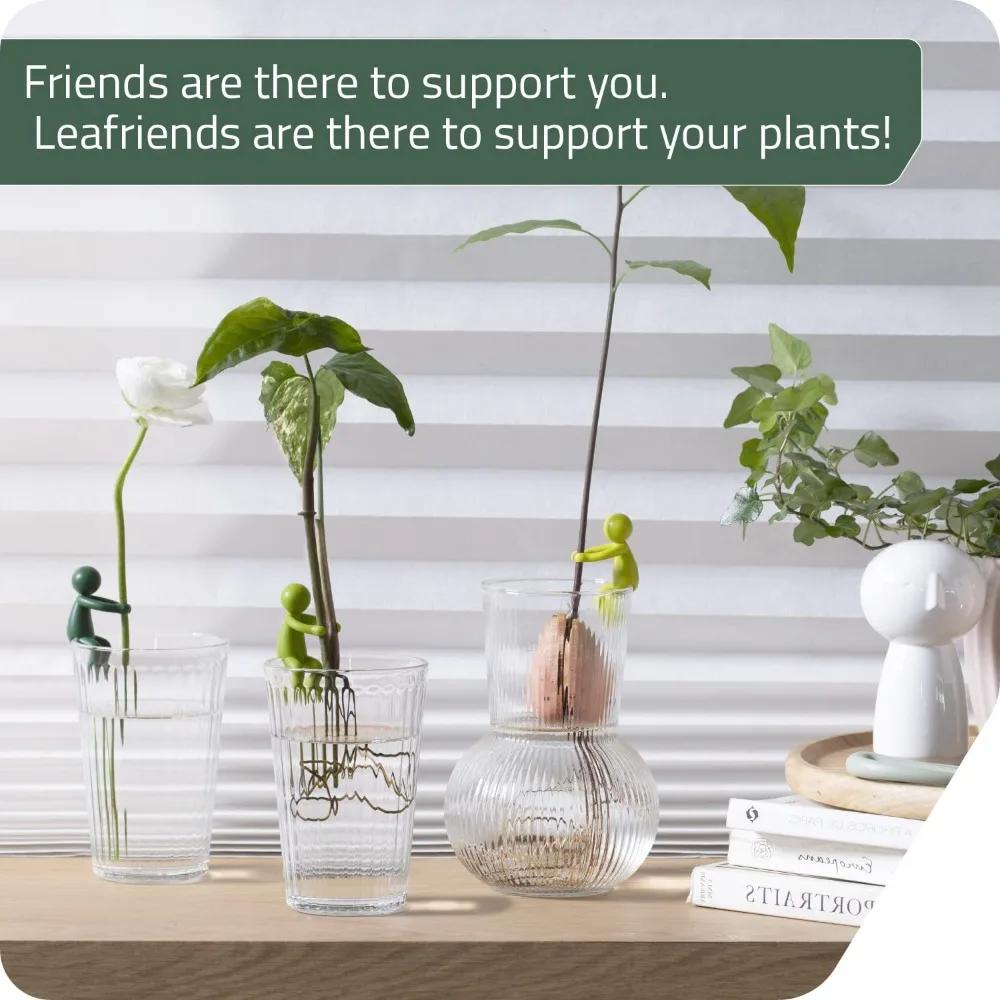 Plant Propagation Buddy - Indoor Plant Accessories for Supporting Buds, Stems, Shoots & Cuttings - Indoor Gardens