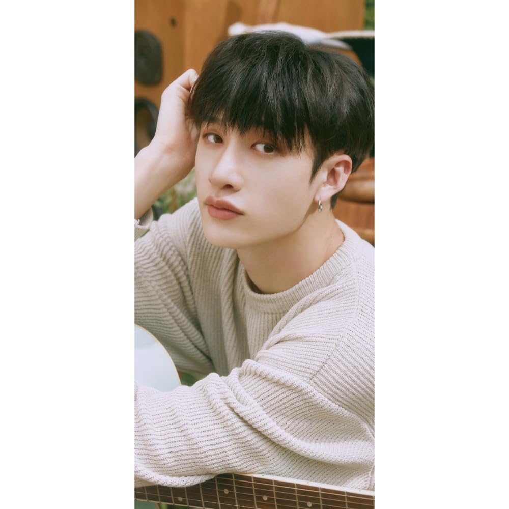 

Панорамный постер Stray Kids Банчана Дети Банчана (Бродячий плакат) 700330мм (банчан-08)