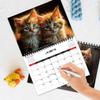Hanging Loop Cat Calendar Durable Construction Monthly Planner Kitten Wall Calendar  Office Decor