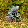 Iguana Zahradní zápich Vodotěsná 2D Plochá Akrylová Dekorace Zápich do země Zvířecí zápich do květináče Nádvoří Trávník