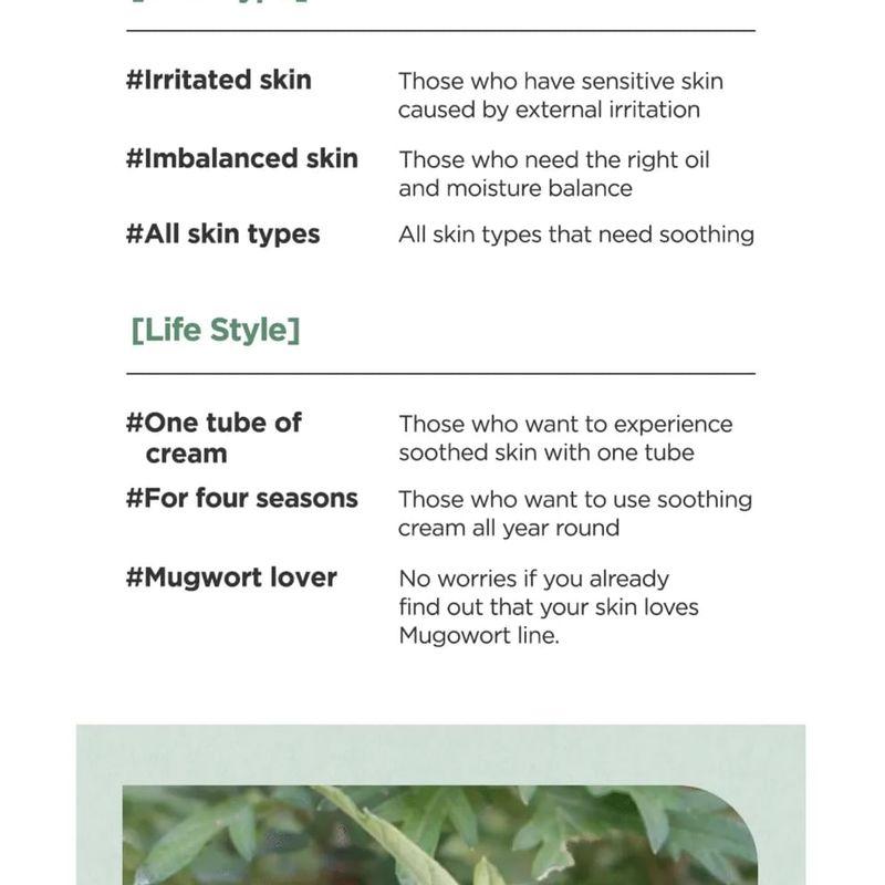 ISNTREE Mugwort Calming Cream Bundle Set