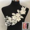 Gold Thread Lace Collar Three-Dimensional Rhinestone Diy Applique Mesh Corsage Lace Lace Clothing Accessories