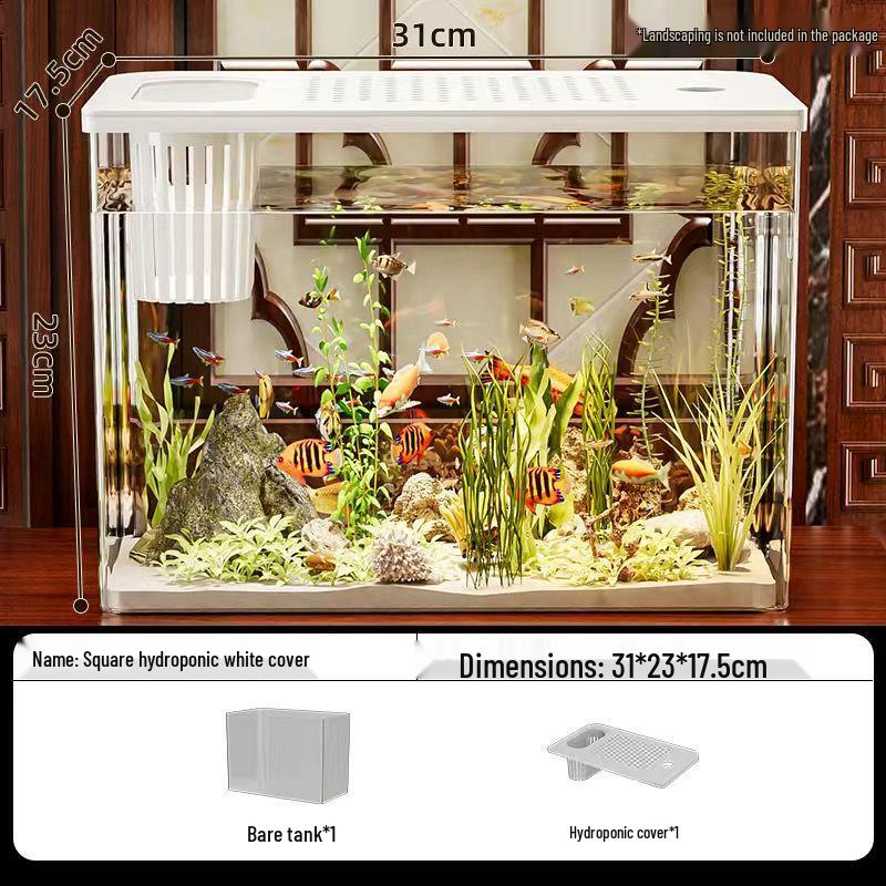 Transparent Plastic Desktop Aquarium: Small Ecological Fish Tank for Goldfish, Ideal for Living Room or Table Landscaping