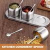8 PCS Mini Spoons for Desserts, Honey, And Tasting, Small Stainless Steel Tiny Spoons for Spices, Salt, Sugar, Pepper, 2.95" Cute Condiment Scoops
