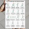 Tai Chi Per Donne di Mezza Età Set di 3 Poster Guida all'Esercizio per Anziani Allenamento per Principianti Tabella di Allenamento Regolazione Qi e Sangue Anziani Basso Impatto Equilibrio
