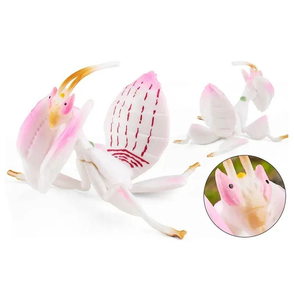 Ornaments Mantis Figurine Educational Praying Mantis Models Simulated Insect  Teaching Aids