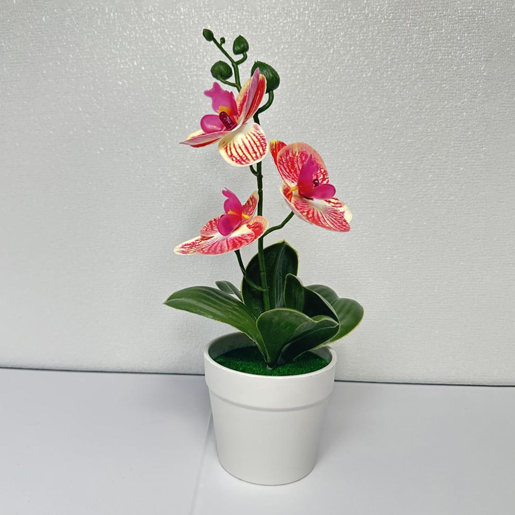 Compact Design Fake Flower Plant Phalaenopsis Bonsai Easy To Style