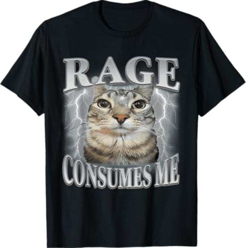 Rage Consumes Me Funny Silly Staring Cat Meme T-Shirt S разноцветный