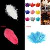 Luxurious Natural Ostrich Feathers 12-14 Inches For Elegant Party Table Decor